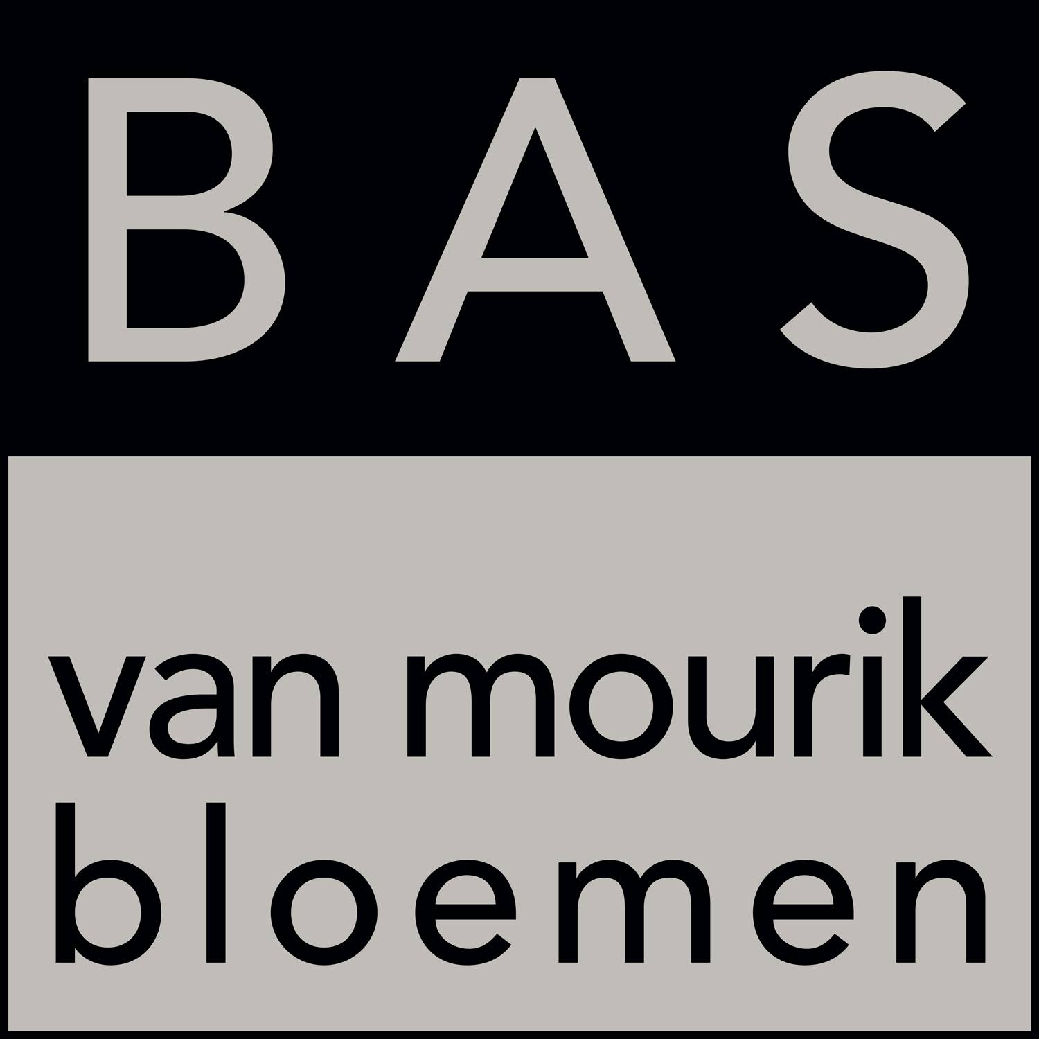 Naar de startpagina